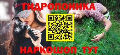 шишки Балаково