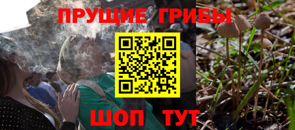 Псилоцибиновые грибы Magic Shrooms  купить закладку  Дмитров  Галлюциногенные грибы мицелий  Вход с VPN 