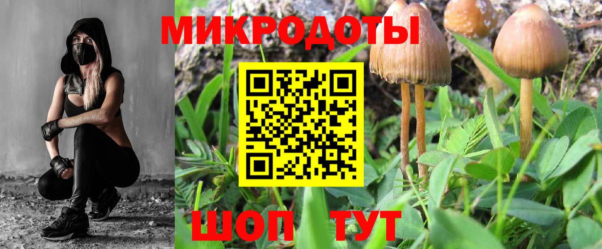 Псилоцибиновые грибы GOLDEN TEACHER Дмитров